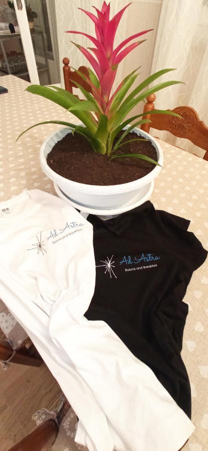 Ad Astra Rooms Ravenna Dış mekan fotoğraf